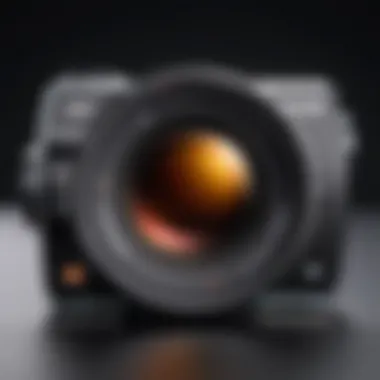Magnificent In-Depth Analysis of the Sony Zoom 2.8 Lens Magnificent In-Depth Analysis of the Sony Zoom 2.8 Lens