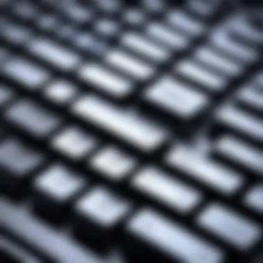 Understanding Mechanical Switches Close-up of mechanical switches in a keyboard