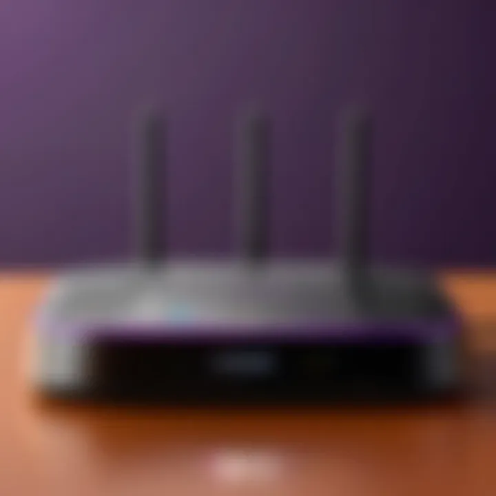 High-performance Netgear mesh router setup