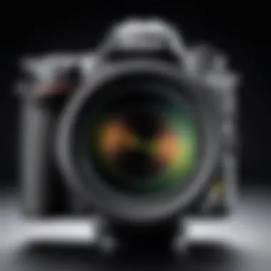 Wide-angle lens on Nikon camera Wide-angle lens mounted on a Nikon camera