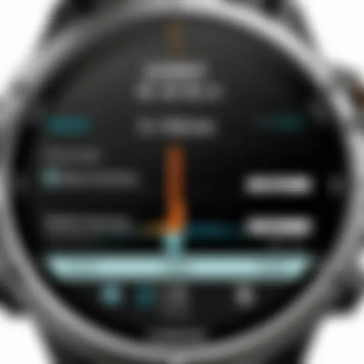 User interface of a Garmin fitness watch