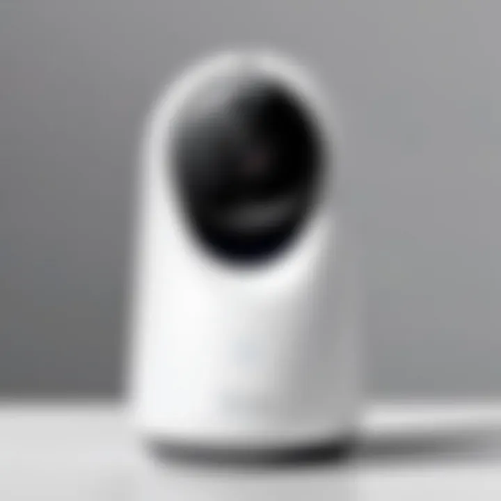 Overview of security options provided by the Nest Cam IQ