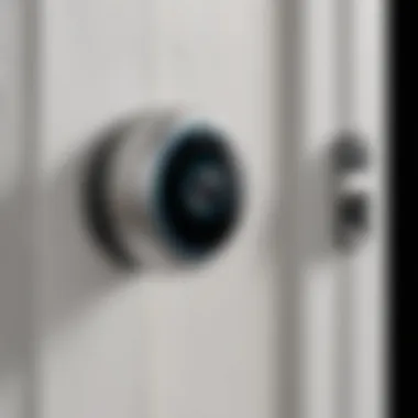 Illustration of the Nest Doorbell Security Camera in a residential setting.