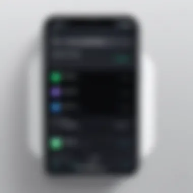 iOS Screen Recording Settings Interface Interface of iOS screen recording settings