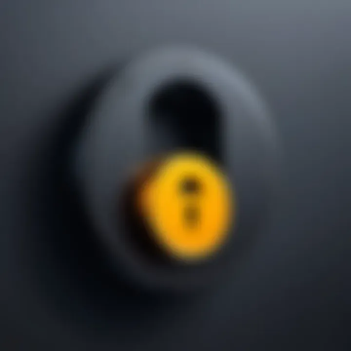 A digital lock symbol representing online privacy and security.