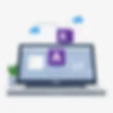 Evaluating the Acquisition of Microsoft Access Introduction