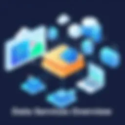 Visual representation of data services overview