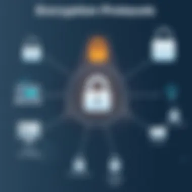 Encryption Protocols Overview Visual diagram showcasing encryption protocols