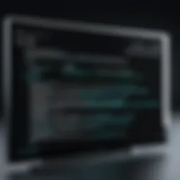 Visual representation of a Windows command prompt displaying an IP address