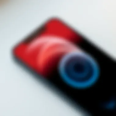 Display Quality Showcase Showcase of iPhone 13 Pro and Pro Max display quality