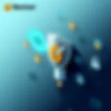 Visual representation of Norton Privacy features