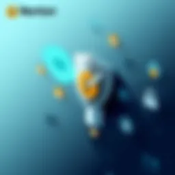 Visual representation of Norton Privacy features