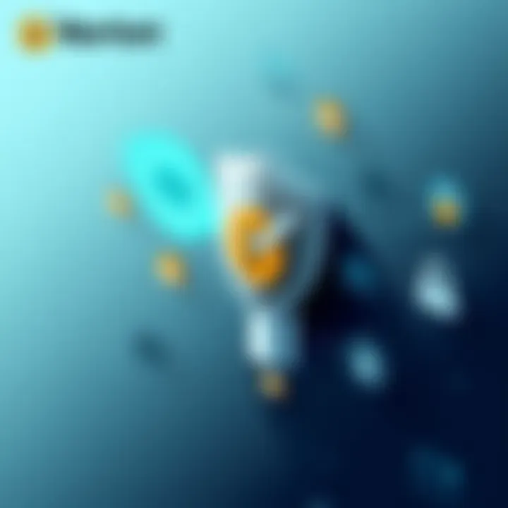 Visual representation of Norton Privacy features