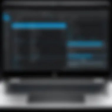 Advanced Video Editing Software Interface Advanced video editing software interface on an HP laptop