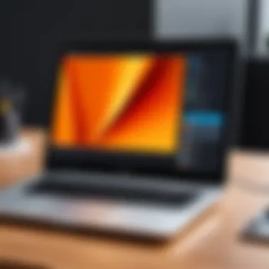 Selecting the Ideal Portable Screen Tips for selecting the right portable screen