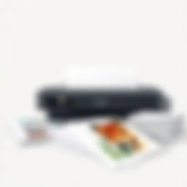 Variety of fine art papers compatible with printers