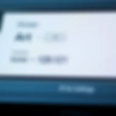 Close-up of printer settings for art printing