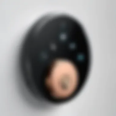 Future Trends in Smart Deadlock Technology Visual representation of future trends in smart locking systems