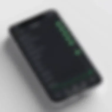 Illustration of DNS settings on iPhone