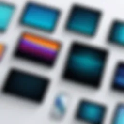 Visual representation of various types of screen filters available for PCs.