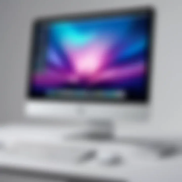 User interface of the software environment on the Apple iMac