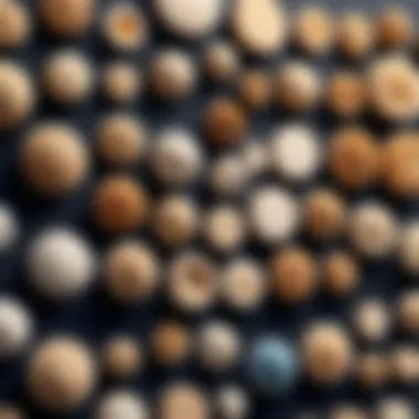 Diverse Designs of Wall Warts Different types of wall warts showcasing various designs