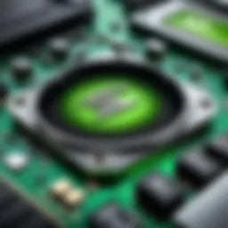 NVIDIA Control Panel Interface Display
